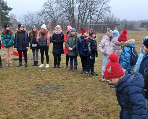 Jaskółkowe zimowisko w Namyślinie