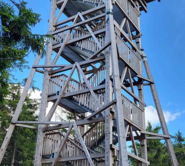 drewniana wieża widokowa