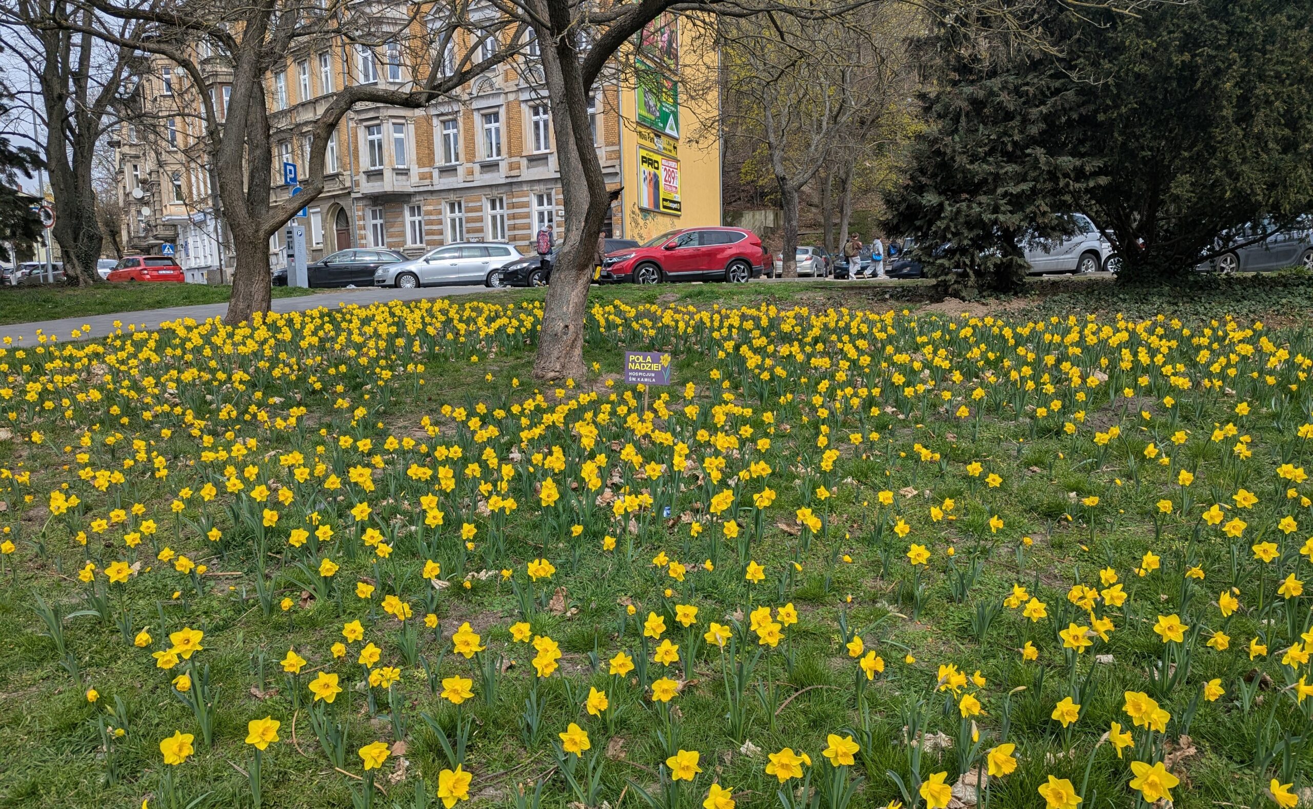Pola Nadziei – uczestnicy